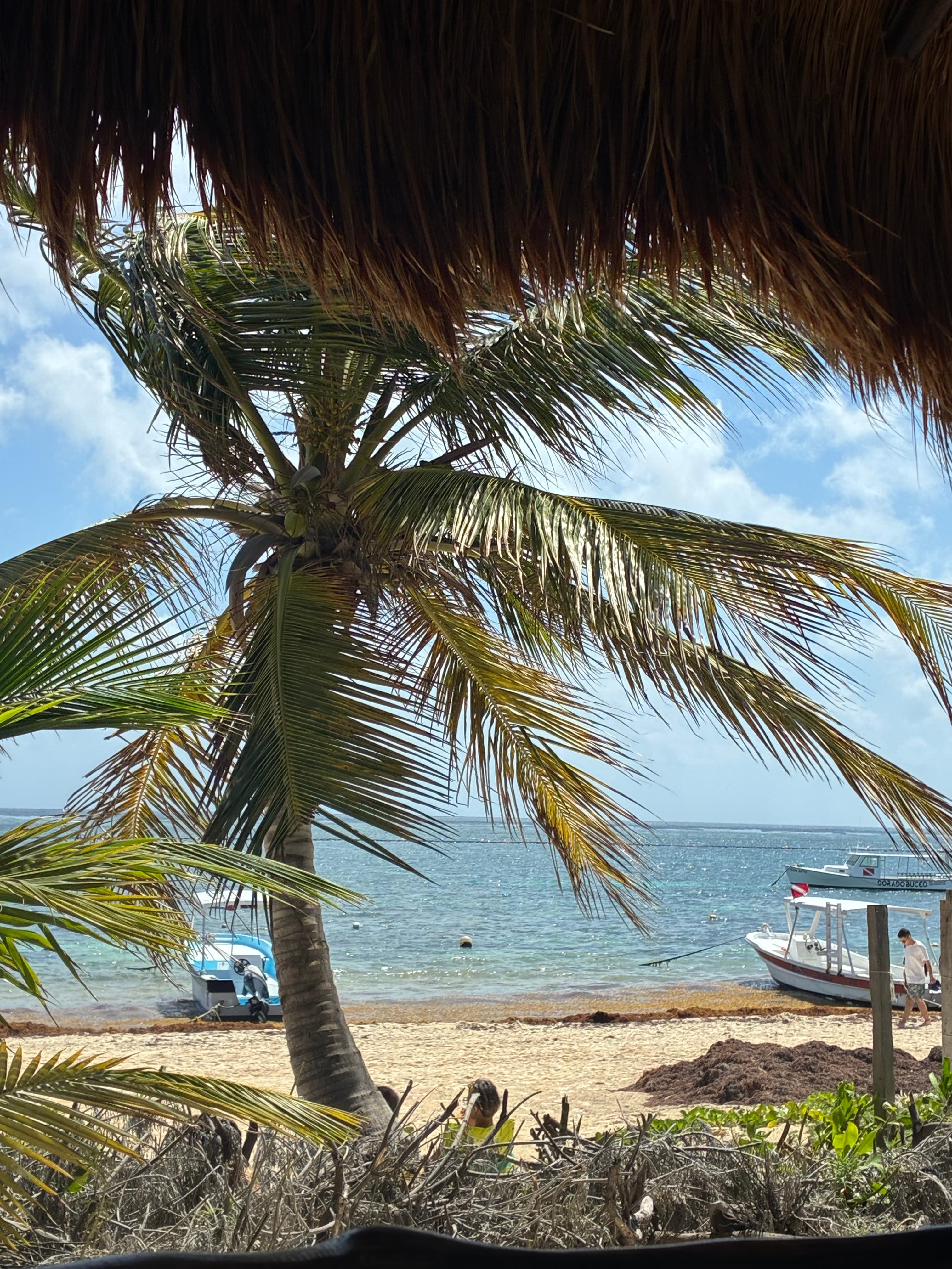 Playa del Carmen en mai : événements, fêtes locales et ce qui se passe dans la Riviera Maya