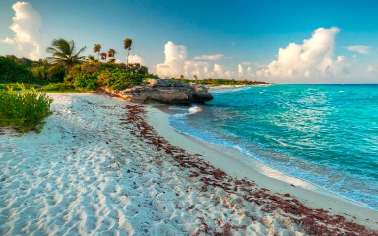 Transport et déplacements malin à Playa del Carmen