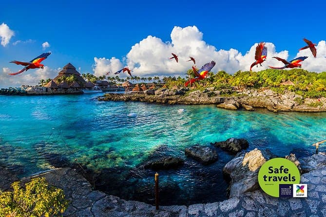 Parc Xcaret : visite et billets