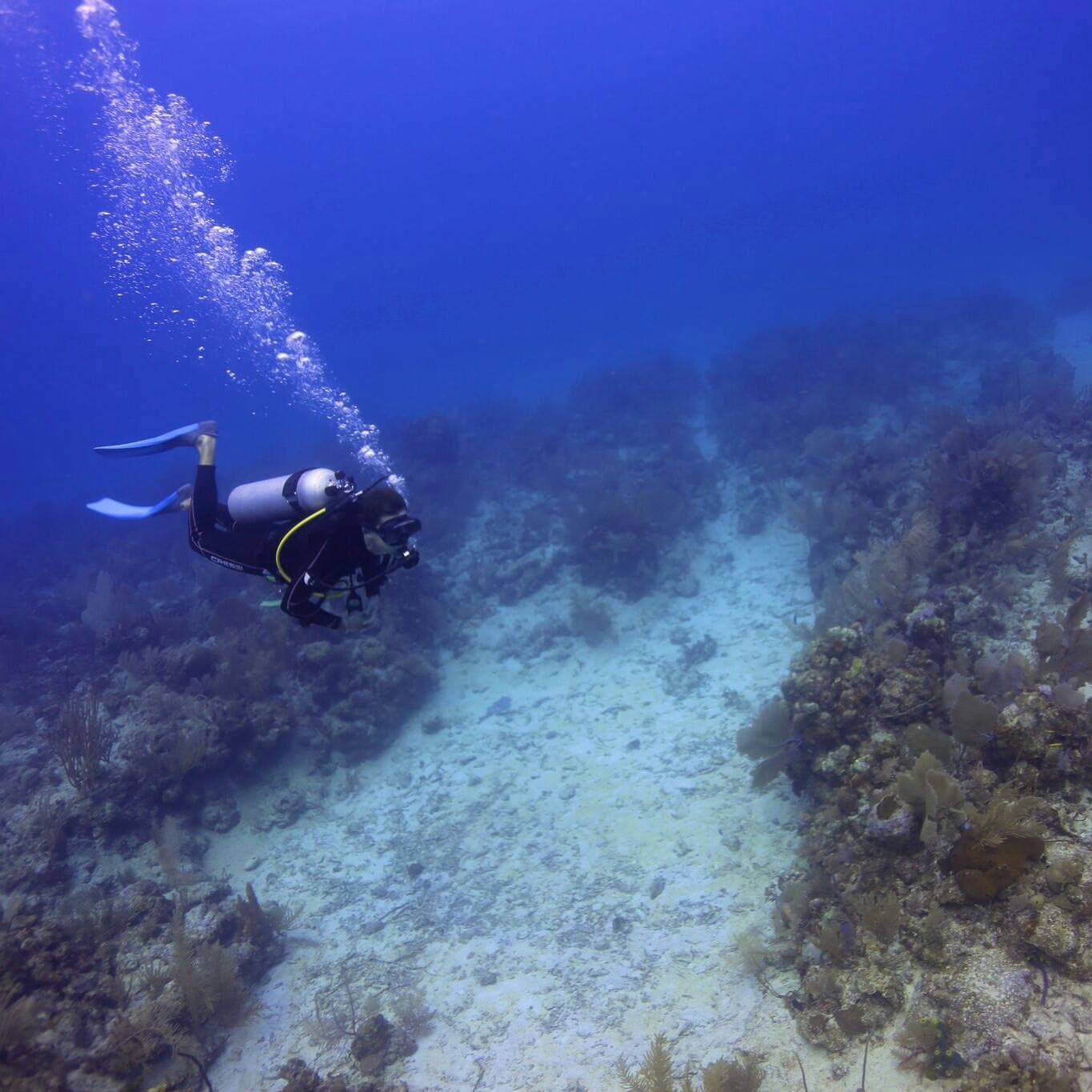Plongée sous-marine à Playa del Carmen