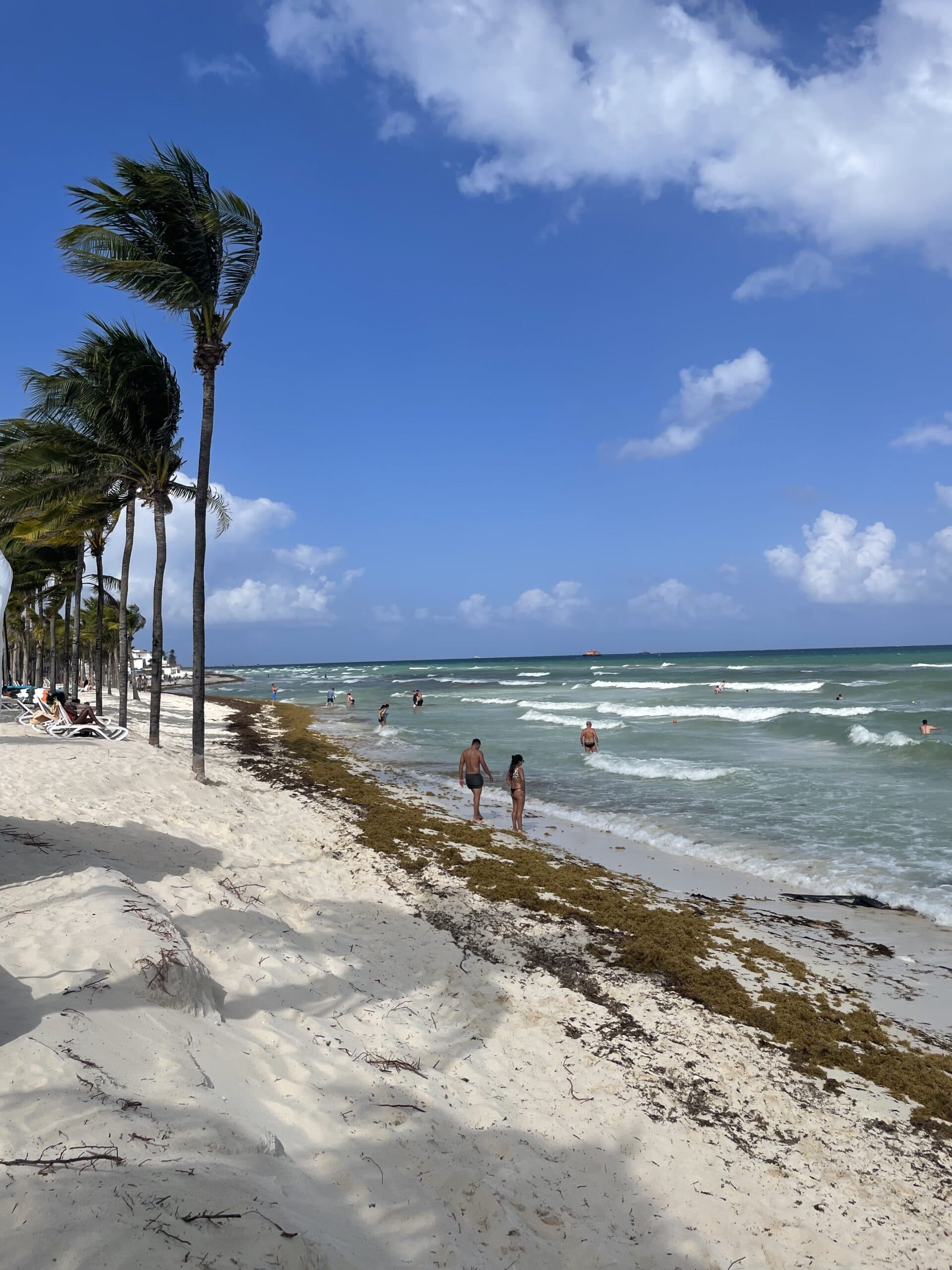 Meilleure période pour visiter Playa del Carmen : le guide complet