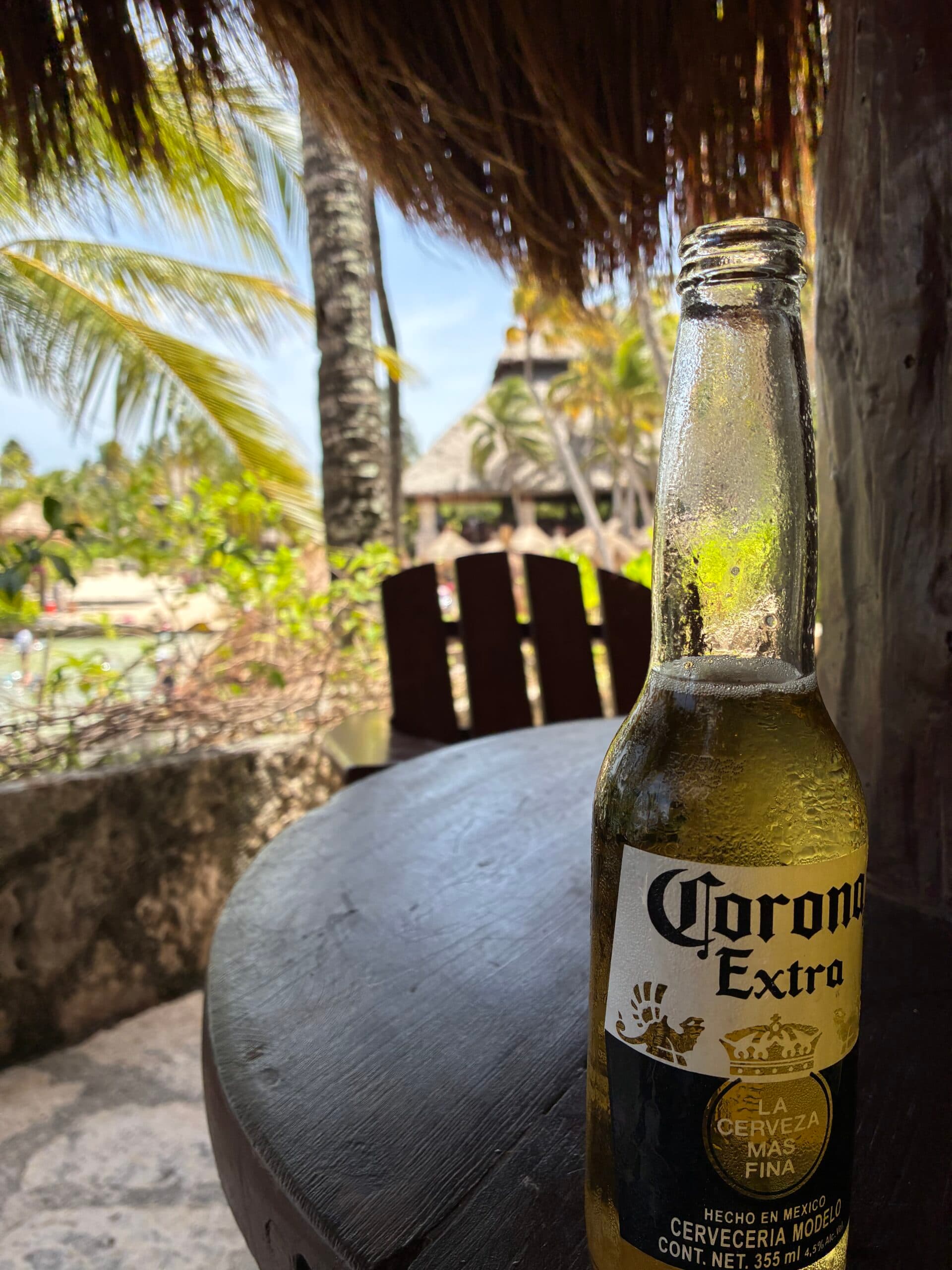 Où manger et boire à Playa del Carmen : adresses locales authentiques