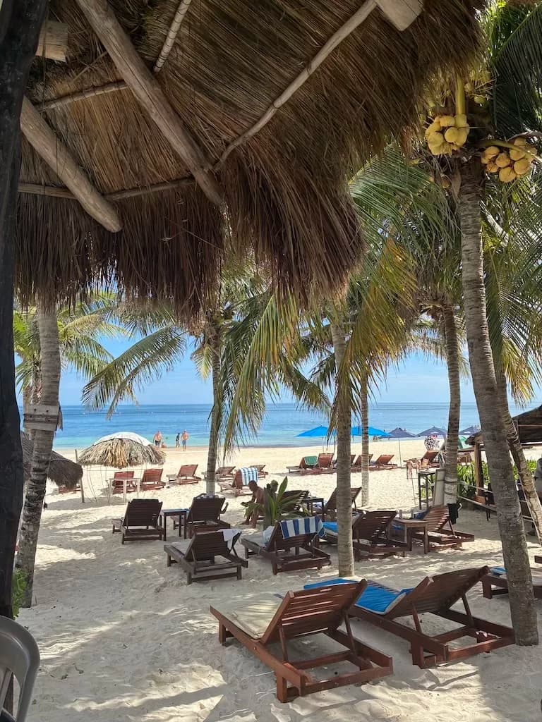 Que faire à Puerto Morelos